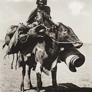 Sudan - Native woman riding a cow - Kordofan