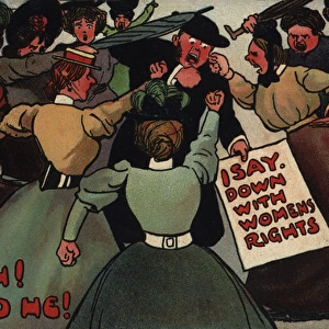 Suffragette, Down with Womens Rights