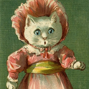 A surprised cat by g h Thompson