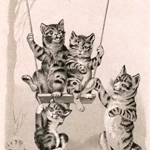 Four tabby kittens playing on a swing on a postcard