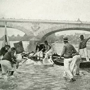 Thames watermen at work during Swan Upping