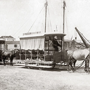 Tram Car, Bridgetown, Barbados, West Indies, circa 1900