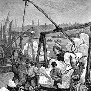 Unloading Ice at the London Docks, 1874