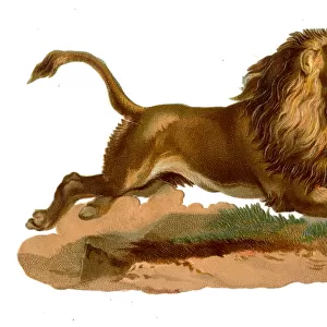 Victorian scrap, leaping lion