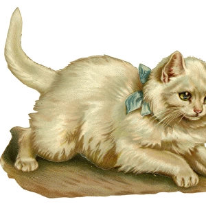 Victorian scrap - White cat