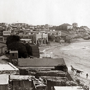 View at Jaffa, Palestine, Israel, circa 1880s