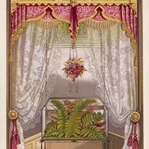 Wardian case containing ferns, in a window