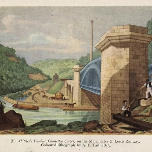 Whiteleys Viaduct, Charleston Curves