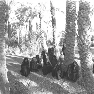 Women gathered below palms - Iran