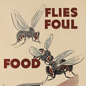 WW2 Poster -- Flies Foul Food