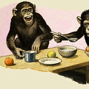 Z for Zoo. Chimpanzees tea-party