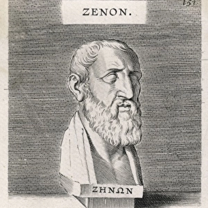 Zeno of Citium / Bust