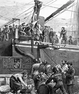 Shipping Beef on Board HMS Alexandra, 1878