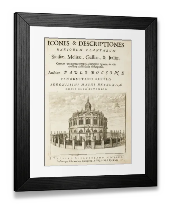 Framed Print : Engraving depicting the Sheldonian Theatre Framed Print : Engraving depicting the Sheldonian Theatre