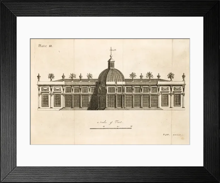 Framed Print : Green-house Framed Print : Green-house