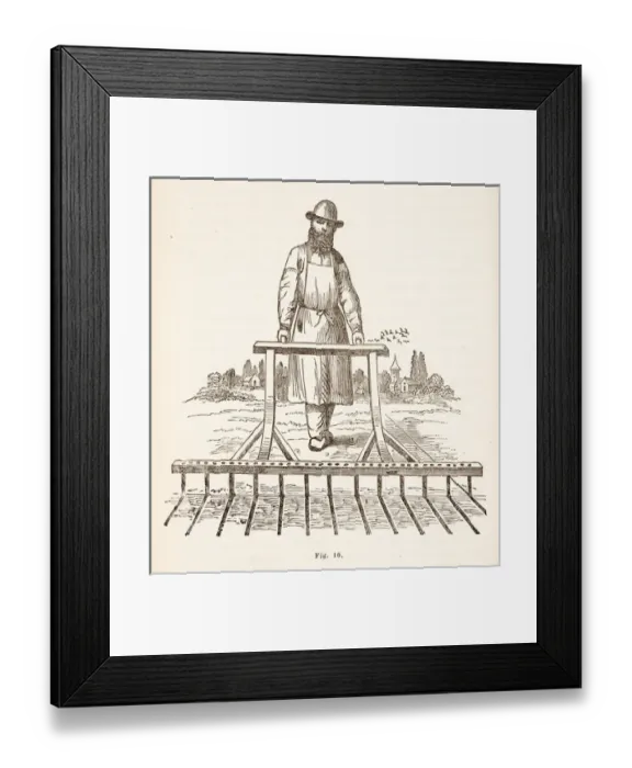 Framed Print : Man sowing seeds in lines, using mechanical device Framed Print : Man sowing seeds in lines, using mechanical device