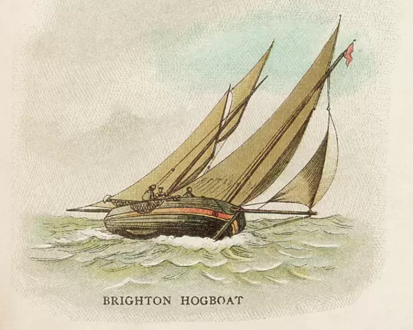 Brighton Hogboat