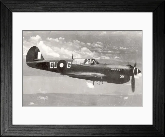 Framed Print : Curtiss Kittyhawk of the Australian Air Force Framed Print : Curtiss Kittyhawk of the Australian Air Force