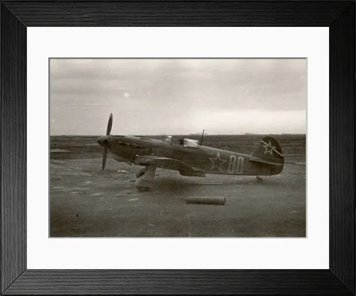 Framed Print : Yakovlev Yak-3 Framed Print : Yakovlev Yak-3