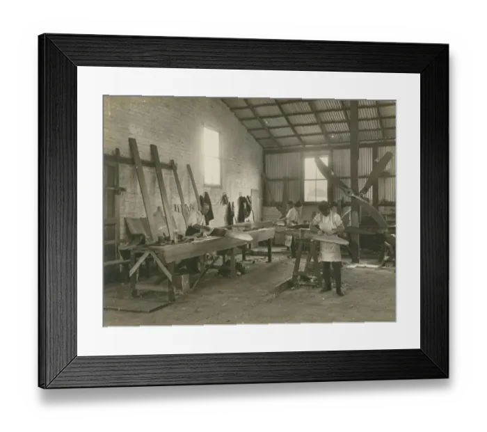 Framed Print : Propeller plant at a&E Framed Print : Propeller plant at a&E