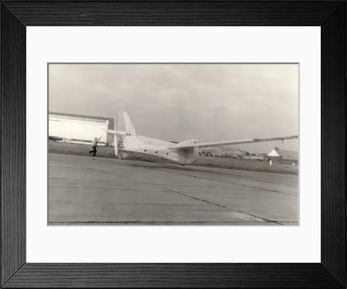 Framed Print : de Havilland Puffin Framed Print : de Havilland Puffin
