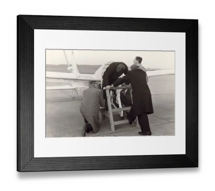 Framed Print : de Havilland Puffin Framed Print : de Havilland Puffin