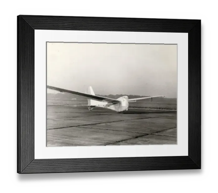 Framed Print : de Havilland Puffin