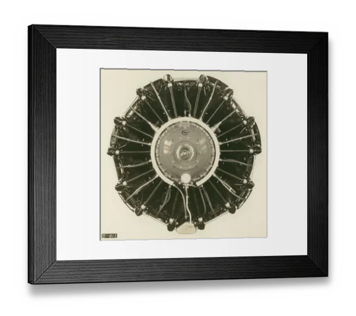 Framed Print : 1, 400hp Pratt & Whitney R-2180 Twin Hornet 14-cylinder Framed Print : 1, 400hp Pratt & Whitney R-2180 Twin Hornet 14-cylinder