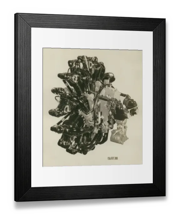 Framed Print : Pratt & Whitney R-1340 Wasp radial, rear quarter Framed Print : Pratt & Whitney R-1340 Wasp radial, rear quarter