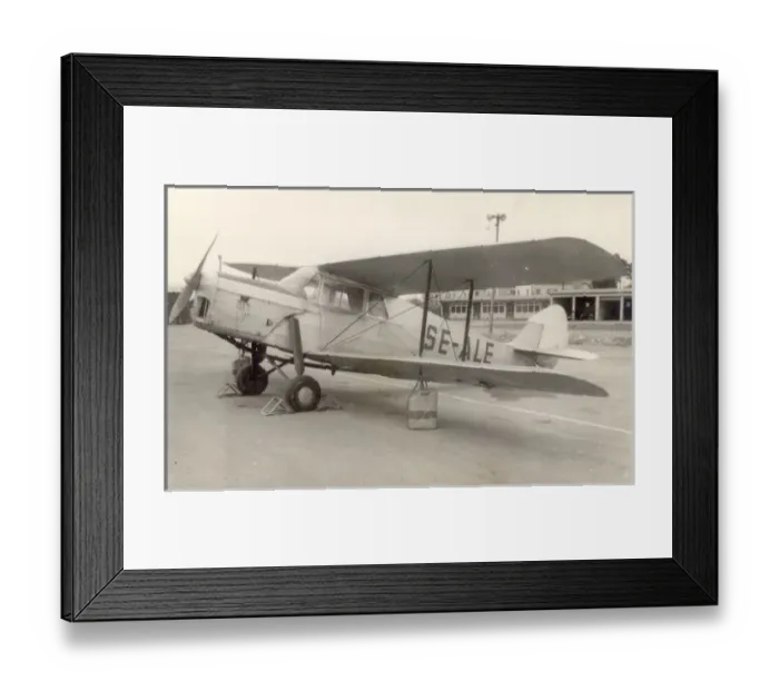 Framed Print : de Havilland DH87B Hornet Moth, SE-ALE Framed Print : de Havilland DH87B Hornet Moth, SE-ALE