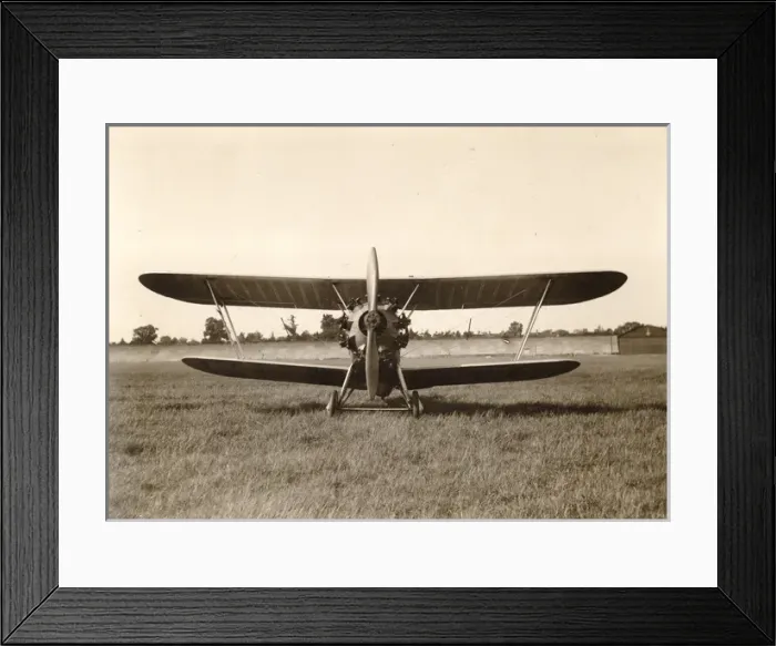 Framed Print : Hawker Heron