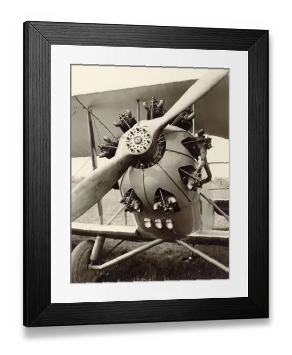 Framed Print : Bristol Jupiter installation in Bristol Bloodhound Framed Print : Bristol Jupiter installation in Bristol Bloodhound