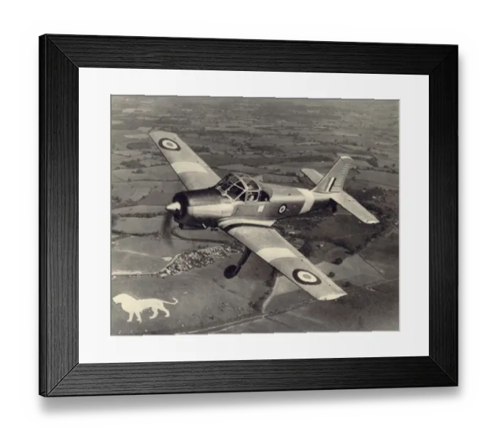 Framed Print : Hunting P56 Provost T1 Framed Print : Hunting P56 Provost T1