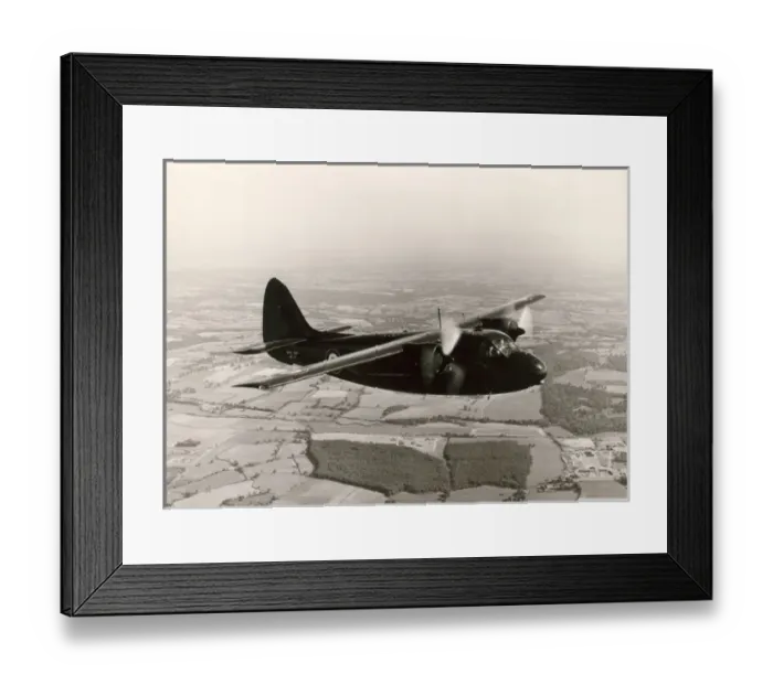 Framed Print : Percival P66 Sea Prince C1, WF137, of the Royal Navy