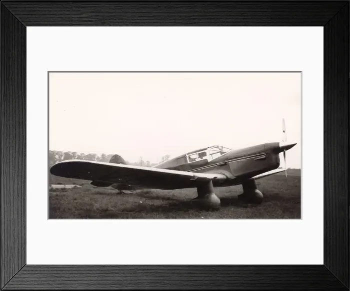 Framed Print : Percival Vega Gull
