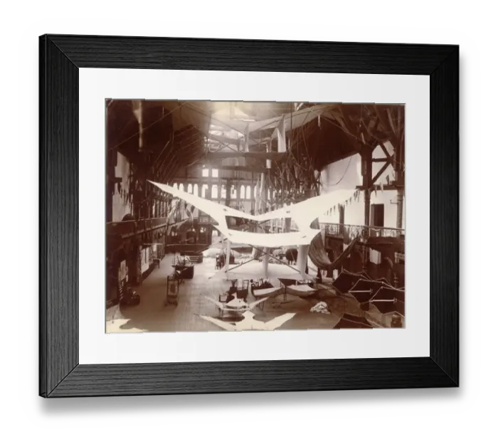 Framed Print : Cody kites at the Alexandra Palace Exhibition Framed Print : Cody kites at the Alexandra Palace Exhibition