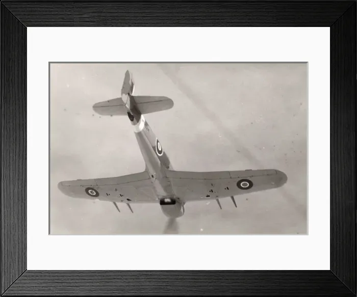 Framed Print : Hawker Typhoon IB, MN524