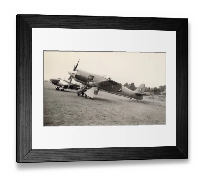 Framed Print : An early production Hawker Sea Fury X, TF895 Framed Print : An early production Hawker Sea Fury X, TF895