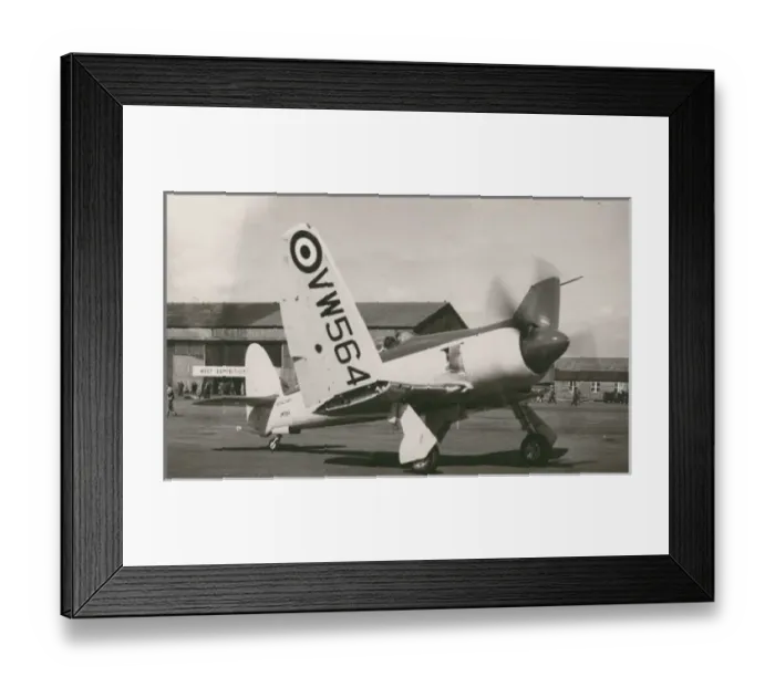 Framed Print : Hawker Sea Fury FB11, VW 564 Framed Print : Hawker Sea Fury FB11, VW 564