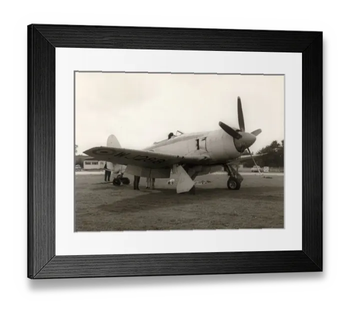 Framed Print : Hawker Sea Fury FB11, WJ288 Framed Print : Hawker Sea Fury FB11, WJ288