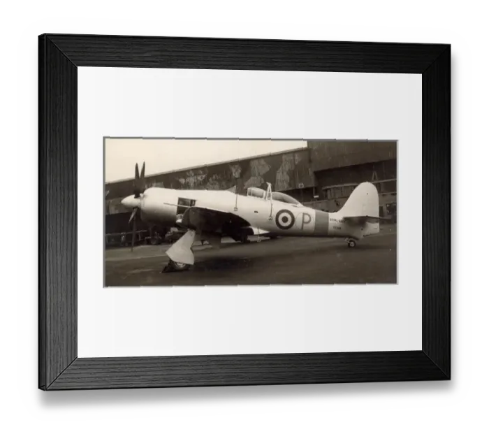 Framed Print : The first Hawker Sea Fury T20, VX818 Framed Print : The first Hawker Sea Fury T20, VX818