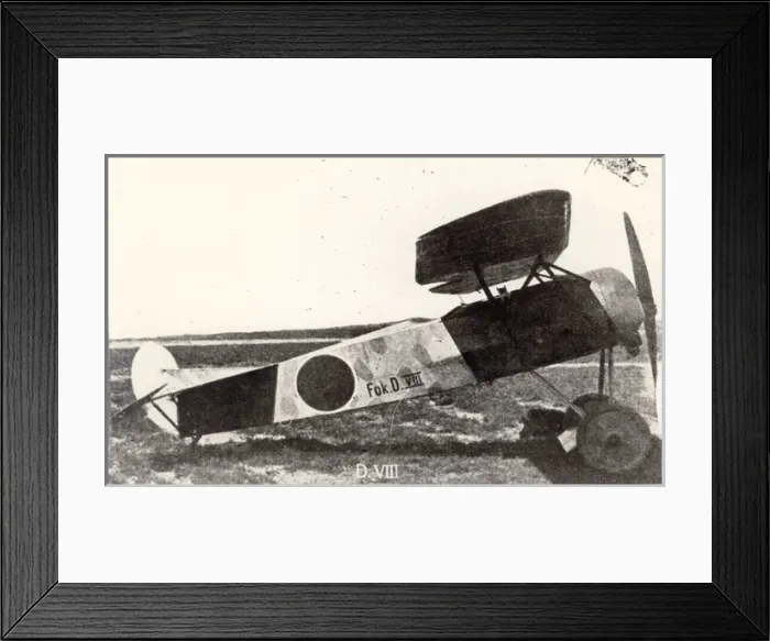 Framed Print : Fokker DVIII Framed Print : Fokker DVIII