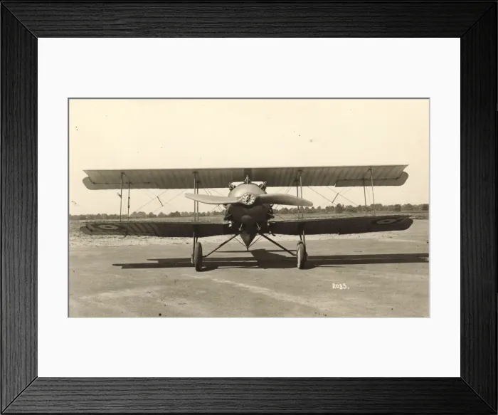 Framed Print : BAT FK25 Basilisk Framed Print : BAT FK25 Basilisk