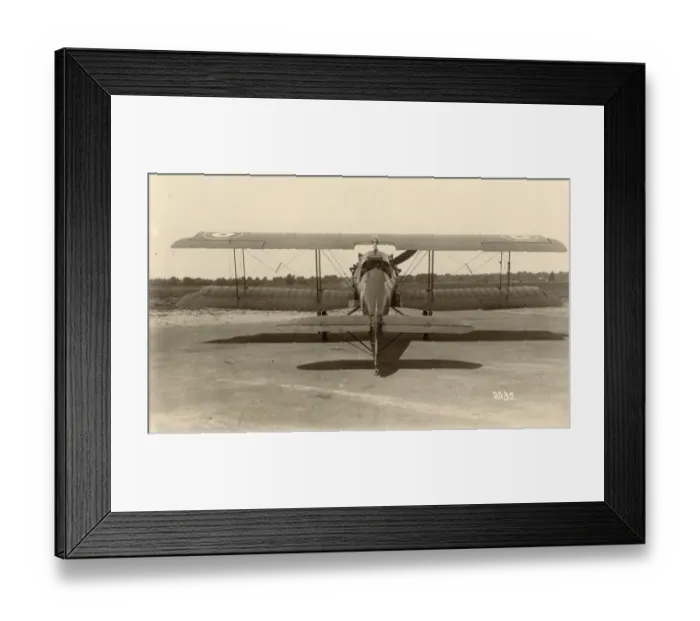 Framed Print : BAT FK25 Basilisk Framed Print : BAT FK25 Basilisk