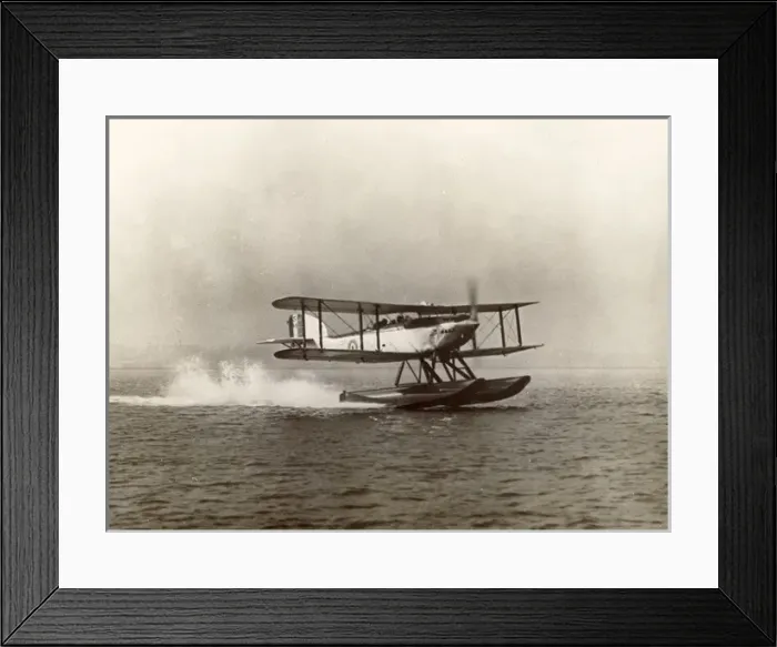 Framed Print : Fairey IIIF Framed Print : Fairey IIIF