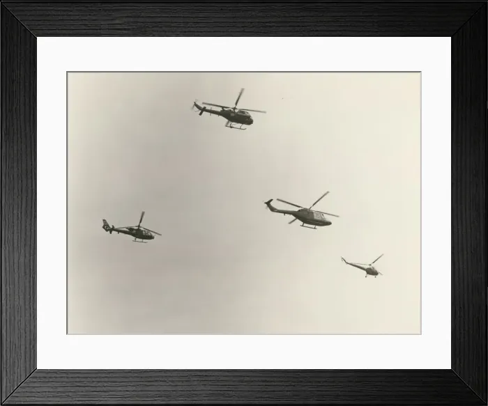 Framed Print : Four helicopters Framed Print : Four helicopters
