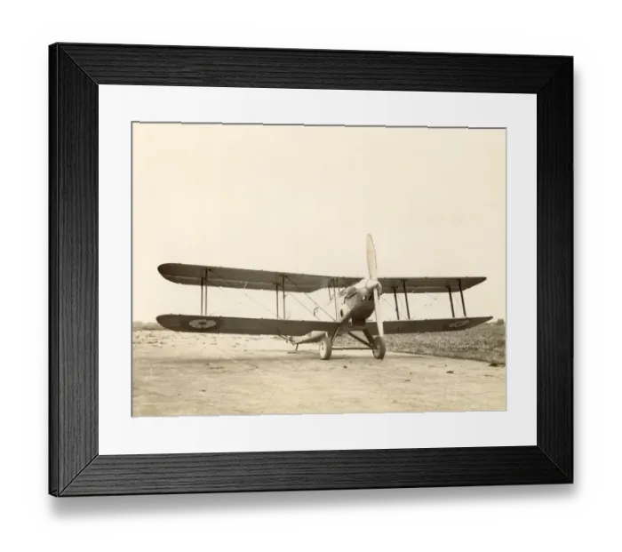 Framed Print : Fairey IIIF Framed Print : Fairey IIIF