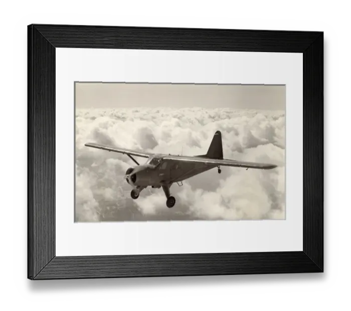 Framed Print : The sole de Havilland Canada DHC2 Beaver 2 Framed Print : The sole de Havilland Canada DHC2 Beaver 2