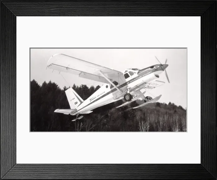 Framed Print : de Havilland Canada DHC2 Turbo-Beaver III, CF-ROM Framed Print : de Havilland Canada DHC2 Turbo-Beaver III, CF-ROM