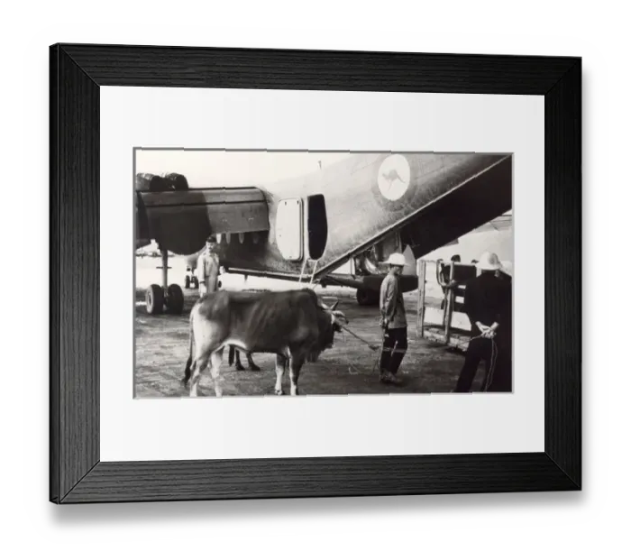 Framed Print : de Havilland Canada DHC4 Caribou